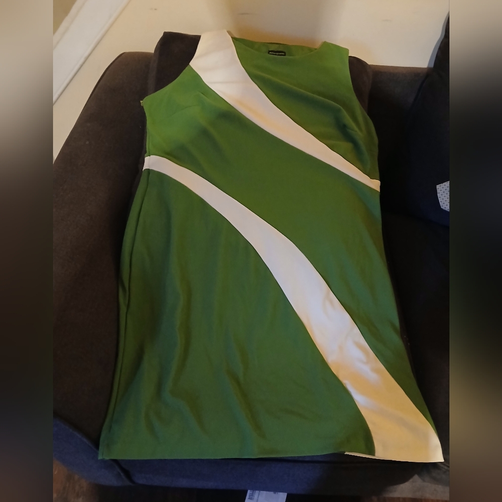 Ashley Stewart Green & Cream Sleeveless Sheath Dress Sz 24W (072225E)